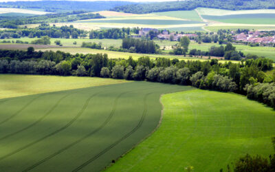 Ligny-en-Barrois accueille une nouvelle agence Velaine Immo !