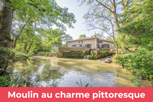 Moulin édifié sur plus de 2 hectares de terrain, au coeur d’