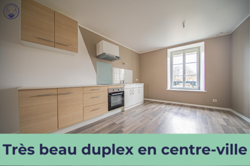 Bel appartement en duplex avec deux chambres au centre-ville