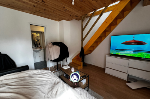 Charmant appartement F2 en duplex, offrant la douce impressi
