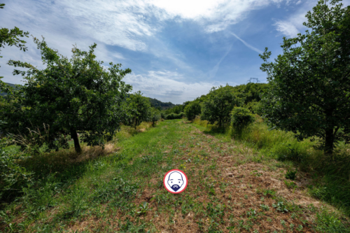 Terrain en nature de truffière