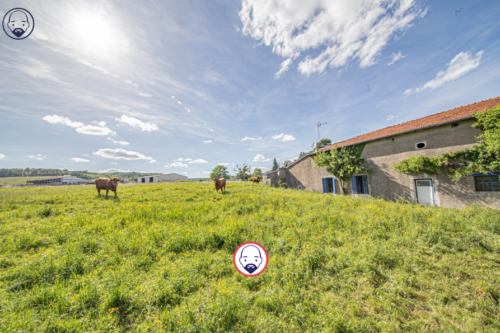 Ancienne ferme à rénover avec grange et boxes à chevaux